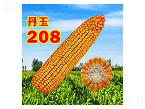 208-׷N-NI