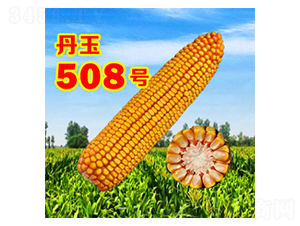 508̖-׷N-NI