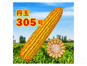 305̖-׷N-NI