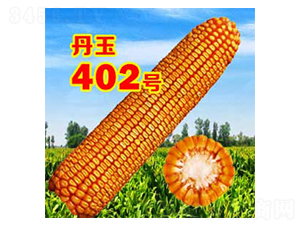 402̖-׷N-NI