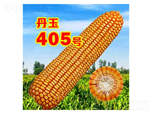 405̖-׷N-NI