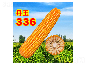 336-׷N-NI