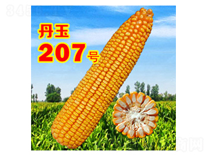 207̖-׷N-NI