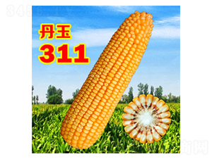 311-׷N-NI