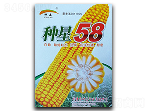 N58-׷N-NǷNI