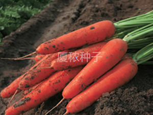 鸣918-}N-BrI
