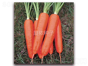 鸣517-}N-BrI