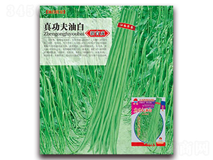 真功夫油白-豇豆種子-華農種業