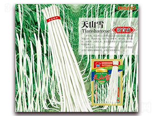 天山雪-豇豆種子-華農種業