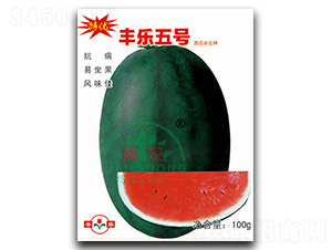 豐樂5號-西瓜種子-亮農