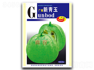 新青玉-甜瓜種子-亮農