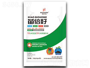 苗倍好（葉面、移栽專用）-海特拉