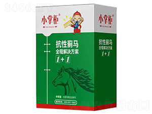 抗性薊馬全程解決方案-小掌柜-優士植保