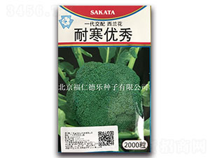 耐寒優秀-西蘭花種子-福仁德樂