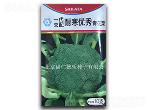 10g耐寒優秀-西蘭花種子-福仁德樂