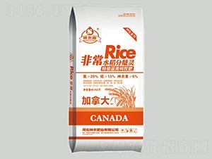 非常水稻分蘗靈-神農雨-神農農業