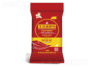 生命源酵母-叮當牛-世紀豐