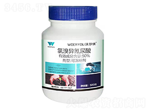 50%宐ܷۄ-֠