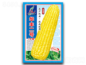 AS̖-׷N-ܷNI