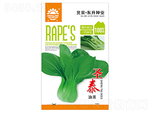 東升圣泰油菜-油菜種子-東升種業