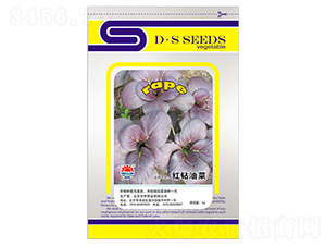 東升紅鉆油菜-油菜種子-東升種業