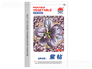東升紫鉆油菜-油菜種子-東升種業