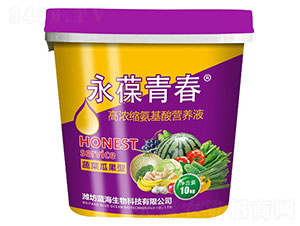 蔬菜瓜果型高濃縮氨基酸營(yíng)養(yǎng)液-永葆青春-藍(lán)海生物