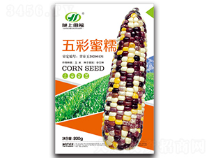五彩蜜糯-玉米種子-田福農業