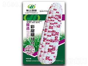 彩甜糯10號-玉米種子-田福農業
