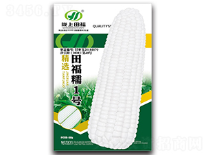 田福糯1號-玉米種子-田福農業