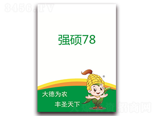 T78-׷N-ʥNI