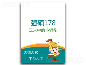 T178-׷N-ʥNI