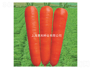 t107-}N-ݺͷNI