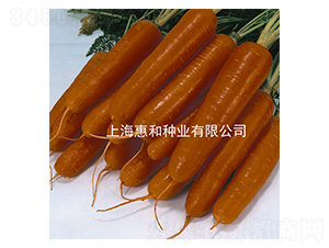 tʥ̖-}N-ݺͷNI