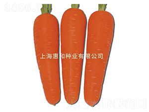 t238-}N-ݺͷNI