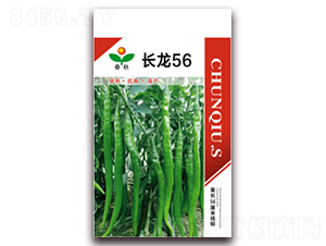 長龍56-辣椒種子-春秋種業