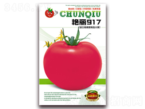 艷麗917-番茄種子-春秋種業
