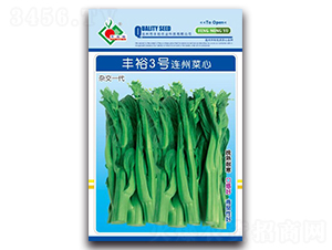 豐裕3號連州菜心-菜心種子-豐裕農業