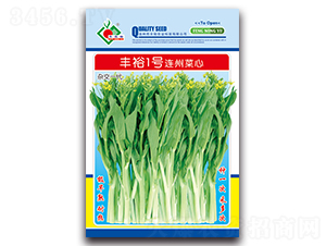 豐裕1號連州菜心-菜心種子-豐裕農業