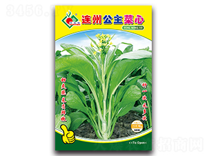 連州公主菜心-菜心種子-豐裕農業