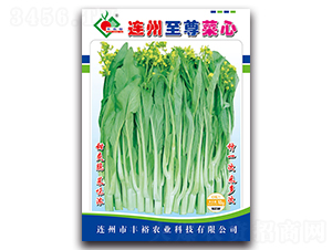 連州至尊菜心-菜心種子-豐裕農業