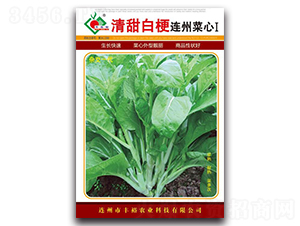 清甜白梗連州菜心Ⅰ-菜心種子-豐裕農業