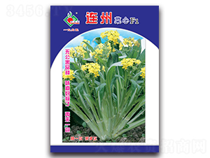 連州菜心F1-菜心種子-豐裕農業