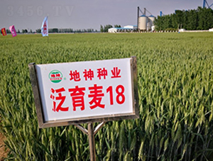 18-СN-NI