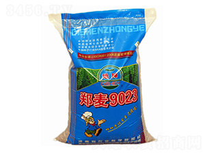 鄭麥9023-小麥種子-地神種業