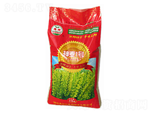 神麥1號-小麥種子-地神種業