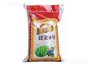 泛麥8號-小麥種子-地神種業