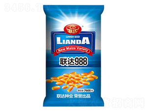 聯達988-玉米種子-聯達種業
