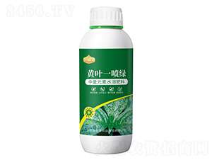 黃葉一噴綠-資生源農業