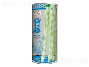 三回頭-架豆種子-先風